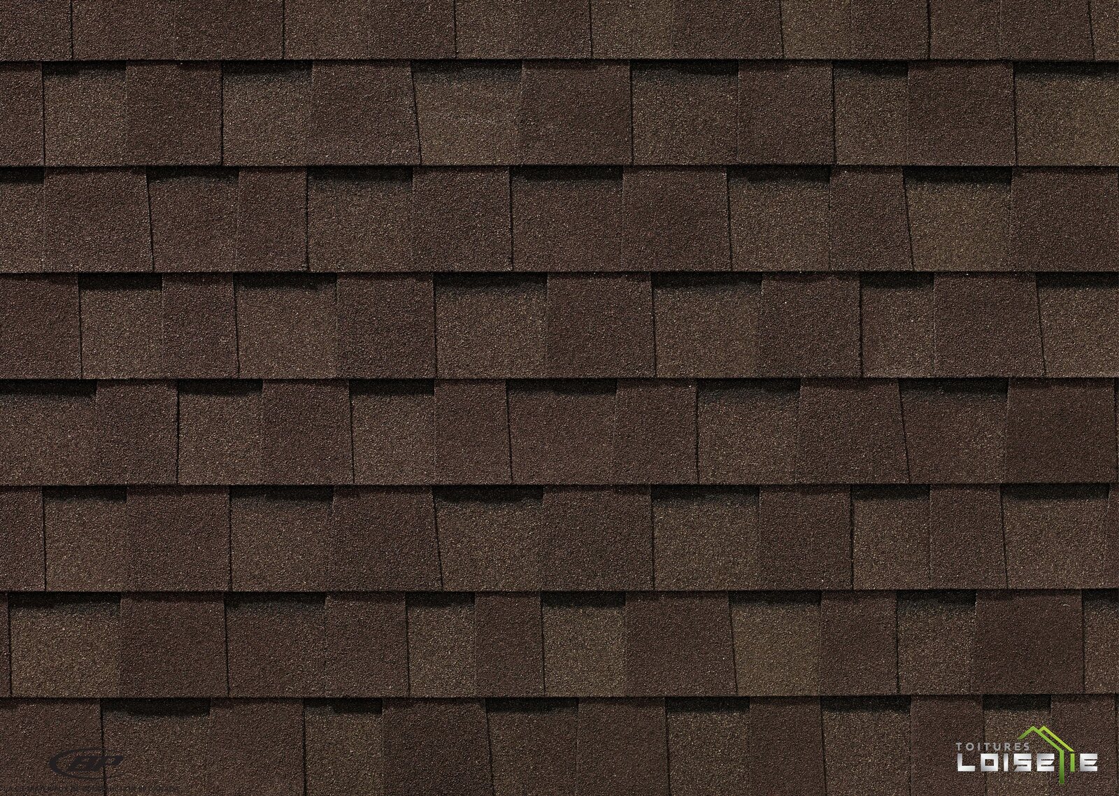 Mystique — Classic Brown